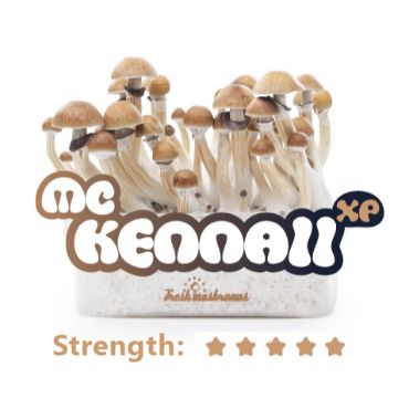 comprar Mc Kennaii grow kit en Ofertas